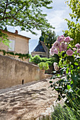 Altes mediterranes Haus mit Rosen, Lavendel und Buchs im Vorgarten