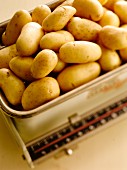 Potatoes on a kitchen scale