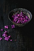 Vintage iron bowl of edible lilac flowers over black wooden background
