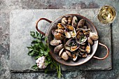 Shells vongole venus clams with parsley in copper cooking dish on stone slate background