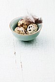 Blue bowl with fresh quail eggs on wooden background