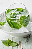 Fresh mint drink with ice