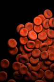 Red Blood Cells, artwork