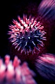 Swine Influenza Virus (H1N1), artwork