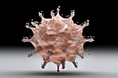 A Virus Particle, artwork