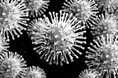 Influenza A Virus Particles, artwork