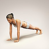 Yoga Plank Pose, artwork