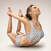 Yoga Bow Pose, artwork