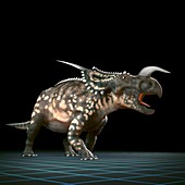 Einiosaurus Dinosaur, artwork