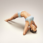 Yoga Upward Facing Two-Foot Staff Pose