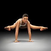 Yoga Firefly Pose, artwork