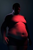 Obesity, artwork