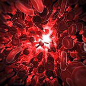 Red Blood Cells, artwork