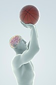 Basketball Shot, artwork