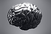 Metallic Brain, artwork