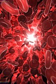 Red Blood Cells, artwork