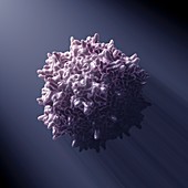 Adeno-associated Virus, artwork