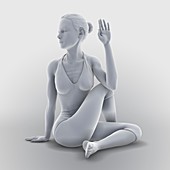 Ardha Matsyendrasana Yoga Pose, artwork