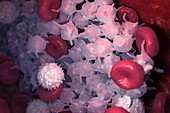 Blood Cells, artwork