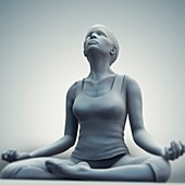 Meditation Pose, artwork