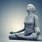 Meditation Pose, artwork