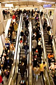 Crowd on escalator