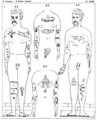 Criminal tattoos, 19th century