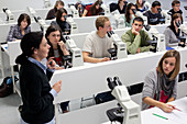 Students at university class