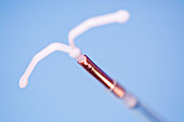 IUD contraceptive