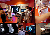 Contrast-enhanced digital mammography