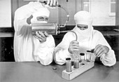 Yellow fever vaccine production, 1940