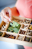 Assorted medicinal plants