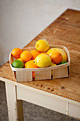 Citrus fruits basket