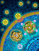 Nanoparticles targeting cancer cells, illustration