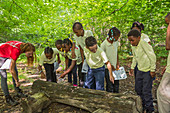 Students on nature trail, Detroit, USA