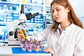 Woman working in microbiological laboratory