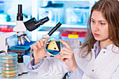 Woman in food quality control laboratory