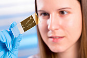 Young woman holding microscope slide