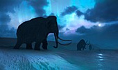Artwork of the Mammoths and Aurora