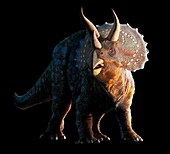 Artwork of a triceratops