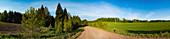 Country road, panorama