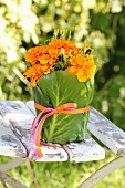 Tagetes wrapped in green leaves and ribbon