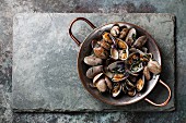 Shells vongole venus clams in copper cooking dish on stone slate background