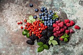 Assorted fresh berries with leaves on metal background