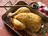 Roast chicken on lentils with balsamic vinegar and honey