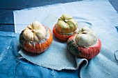 Three Turk's Turban pumpkins