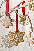 Edible Christmas tree decoration biscuits snowflake and tree shapes iced and hanging from white tree branches with other christmas decorations
