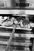 Loaves of bread being taken out of the oven using a peel (baker's shovel)