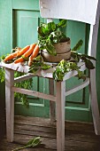 Bunch of fresh spinach and carrots on old white wooden chair with green wooden wall at background