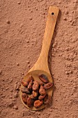 Cocoa beans on a wooden spoon in cocoa powder